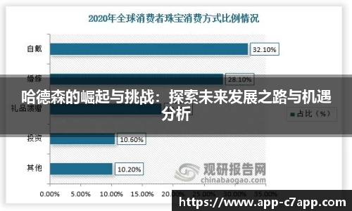 哈德森的崛起与挑战：探索未来发展之路与机遇分析
